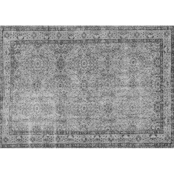 Charlton Home® Avdyl Gray Rug Wayfair